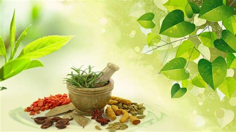 ayurveda pictures